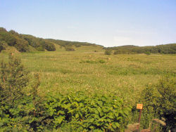 �@�J�{���ԑ�����T�T�̋u