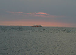 �[�z�̃m�V���b�v���ɕ����ԃt�F���[