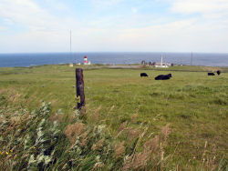 �u�̏ォ��@�J������