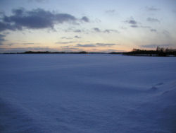 �����ʋ�`�߂��̐ጴ