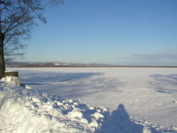 �X���������̖ԑ���