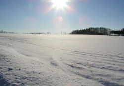 �����w���̋u