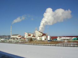 ���y���[�H��