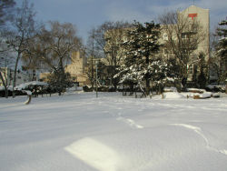 �k���w�߂��̌���