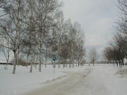 ���ˉ^������