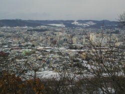 �k�����u�W�]�䂩��