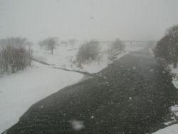 �P�q�{��C��