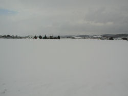 �P�q�{�̐ጴ