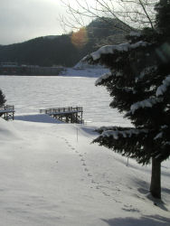 �u�ˌ΂ɑ�������