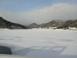 ���̎q�_�����炩��