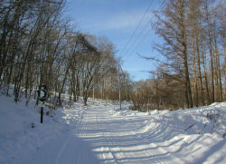 �g�}���n��