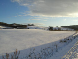 �g�����n��̑�ጴ