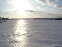 �E���̑�ጴ