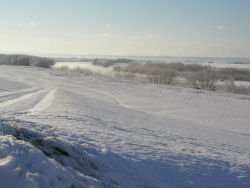 �r�c���ʐ�͔�