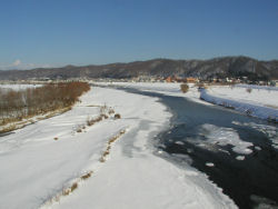 ���̂���������