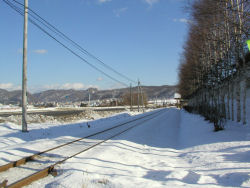 �������w����