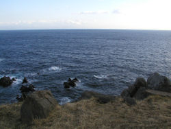 ���Җ�����