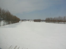 ���t���ɋ�؂�ꂽ�ጴ