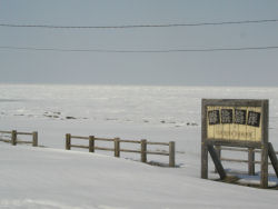 ���l�C��