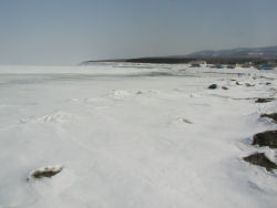 ���l�C�݂���