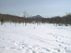 �m�����R�Z���^�[�̎���