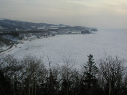 �v���j������