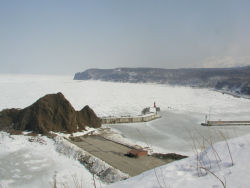 �I�����R�₩�痬�X�̊C