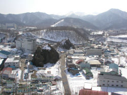 �I�����R�₩��E�g���s�X