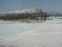 ���t�����؂̐ጴ