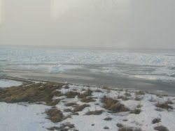 ���Ԗ{������