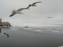 �c�o�������ԑ��`