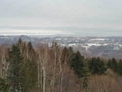 �V�s�R����ԑ��`