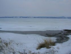 �o�h���̃T���}��