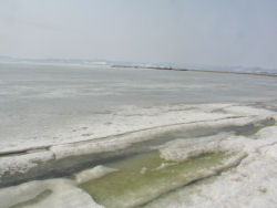 �o�h���T���}��