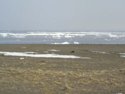 ���{�䂩��