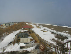 ���{�䂩��