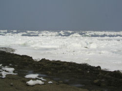 �I�z�[�c�N�̗��X