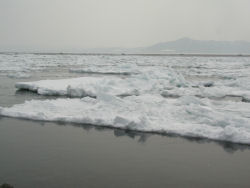 �Ό��̃A�C�X�u�[��