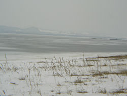 �T���}��