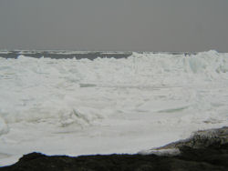 �Ō�̗��X�̊C