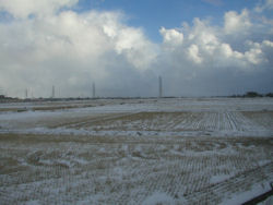 �V���t��