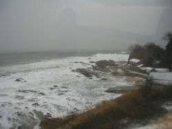 ���{�C�̍r�g