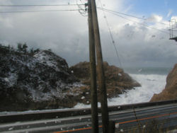 �g�̉Ԃ�����