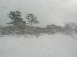 ���E����ɉ���