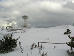 �͂܂Ȃ�����