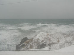 �ܔ\���̎ԑ�