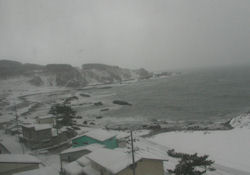 �ܔ\���̎ԑ�