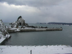 �ܔ\���̎ԑ�