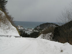 �\��Ήw���ʂ�U��Ԃ�