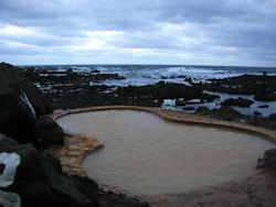 �C�ӂ̘I�V���C